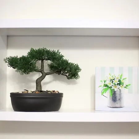 Rodrigues Hébergement de vacances *