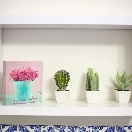 Rodrigues Holiday home Ponta Delgada (Sao Miguel)