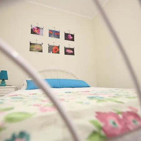 Rodrigues Ponta Delgada (Sao Miguel)